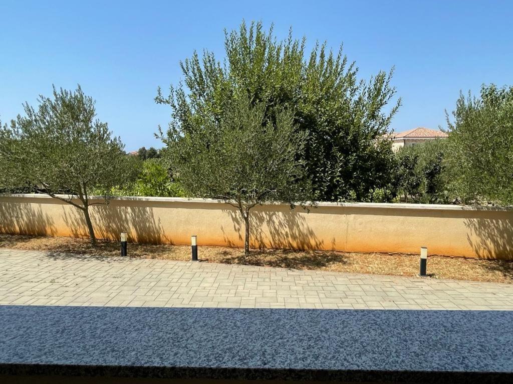 Apartman Dorotea Zaton  Exterior photo